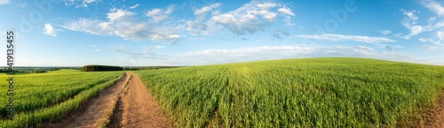 Panorama of a green field and sky. Sunny summer landscape of a European village
