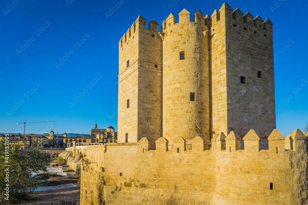 View on the 14th century guard tower Torre de la Calahorra, the roman bridge and the Mezquita Catedral of Cordoba, in Andalusia, Spain