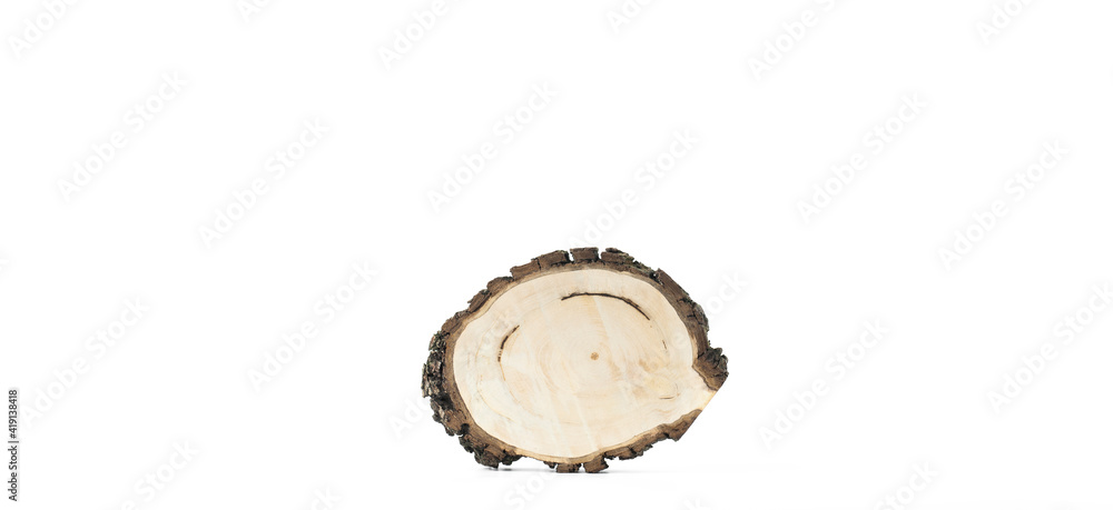 Wooden cuts. Cross section of a wooden block. Growth rings. Slabs. On a white background Wooden cuts. Cross section of a wooden block. Growth rings. Slabs. On a white background