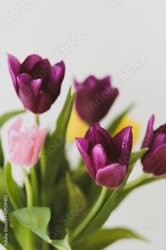 a bouquet of purple, pink and yellow tulips stands in a transparent glass vase on a wooden cabinet or table against a white wall. natural soft light. classic interior design