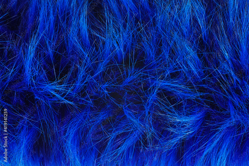 Fototapeta premium Fabric texture fur blue background.