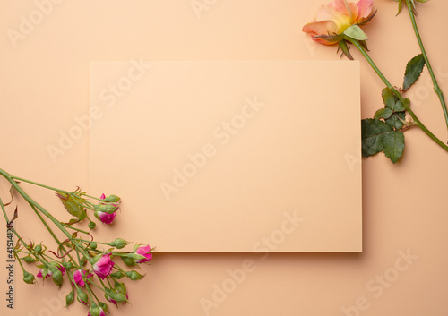 Blank empty pink beige paper with fresh flowers roses top view. Spring romantic delicate flower background with space for text, pastel and soft bouquet floral card
