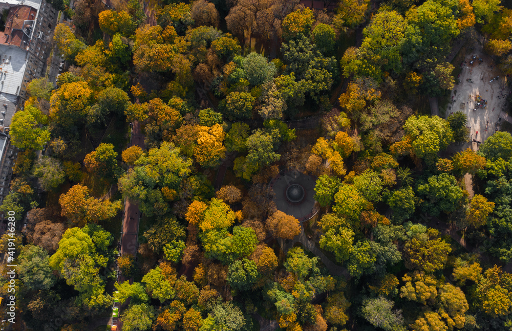 Aerial top view on the golden autumn tree crowns in the park. Panoramic photo over the tops of the trees. Beautiful ancient building on the street and playground in the park. Urban nature. Aerial top view on the golden autumn tree crowns in the park. Panoramic photo over the tops of the trees. Beautiful ancient building on the street and playground in the park. Urban nature.
