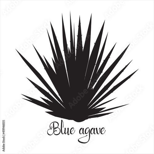 Tequila agave black silhouette. Vector illustration isolated on white background. Blue agave succulent plant