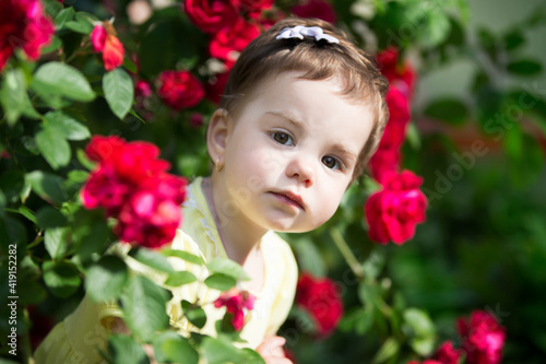 Beautiful little girl among a bush of scarlet roses. Portrait of a one-year-old baby.