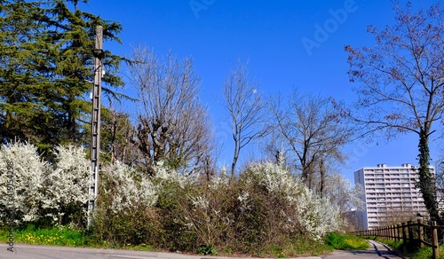 PAYSAGES BANLIEUE LYONNAIS