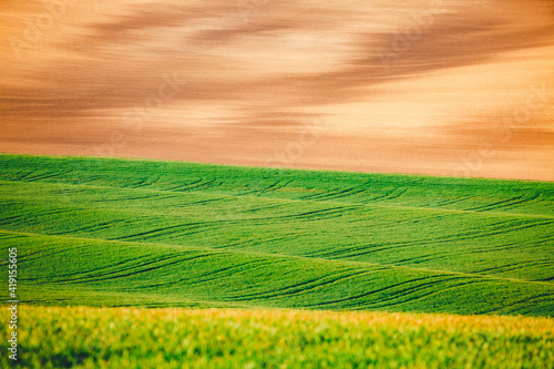 Idyllic sunlight on the wavy fields. Location place of South Moravia region  Czech Republic  Europe.