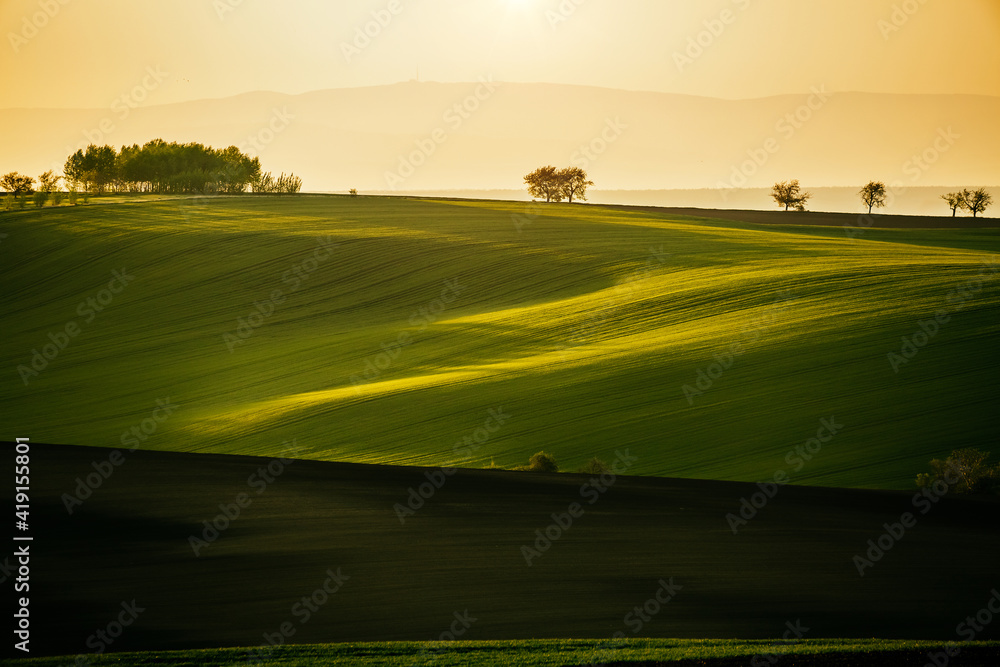 Fantastic view on of sunlit wavy fields of agricultural area. Location place of South Moravia region, Czech Republic.