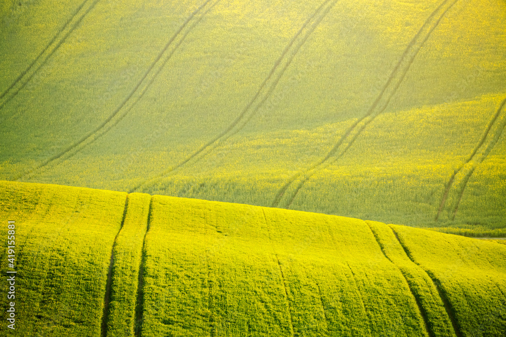 Peaceful view on of sunlit wavy fields of agricultural area. Location place of South Moravia region, Czech Republic.