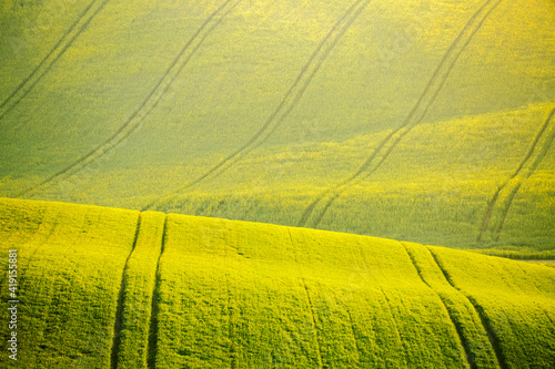 Peaceful view on of sunlit wavy fields of agricultural area. Location place of South Moravia region, Czech Republic.