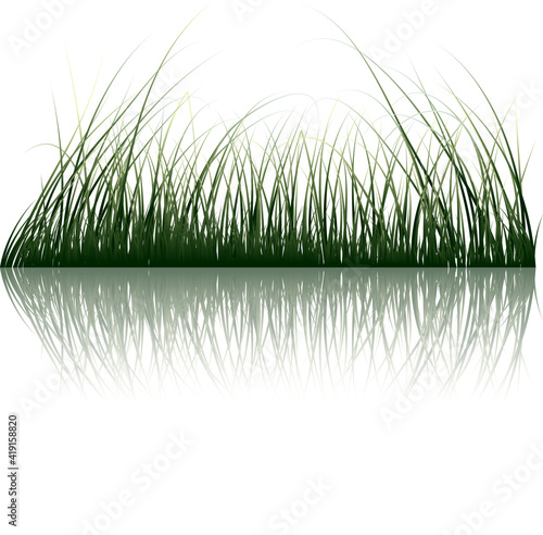 Wallpaper Mural grass on water Torontodigital.ca