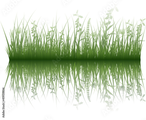 Wallpaper Mural grass on water Torontodigital.ca