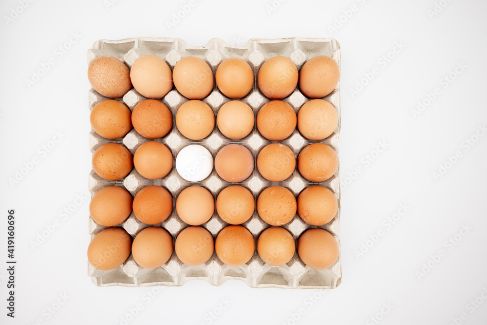 Chicken brown chicken eggs and one white in a carton box isolated on white background from above,top view. High quality photo Chicken brown chicken eggs and one white in a carton box isolated on white background from above,top view. High quality photo