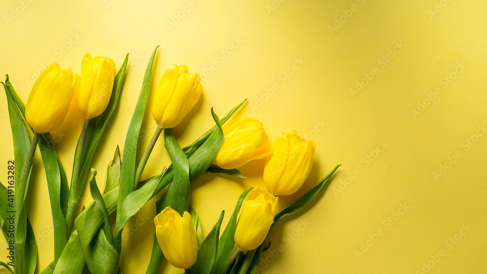 top view of spring tulips on colorful yellow background, panoramic shot top view of spring tulips on colorful yellow background, panoramic shot