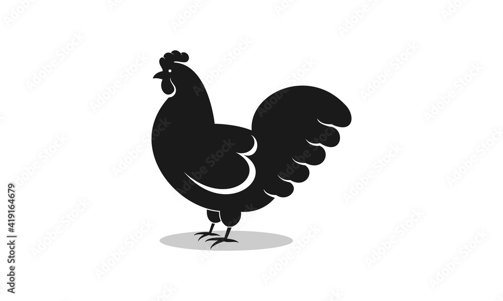 Chicken illustration vector Chicken illustration vector