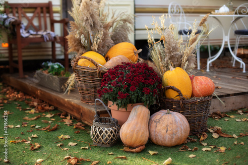 Fototapeta Naklejka Na Ścianę i Meble -  Decorated entrance to house with pumpkins in basket and chrysanthemum. Front Porch decorated for Halloween, Thanksgiving, fall season. Exterior terrace with garden furniture. Pumpkins on steps house.	