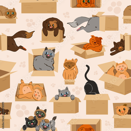 Cats in cardboard transportation boxes cartoon seamless pattern. Preposition of place illustration with cute cat and box.