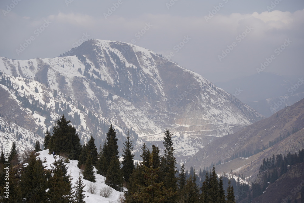 Fir trees and snow cover in the hills and mountain tops near Almaty