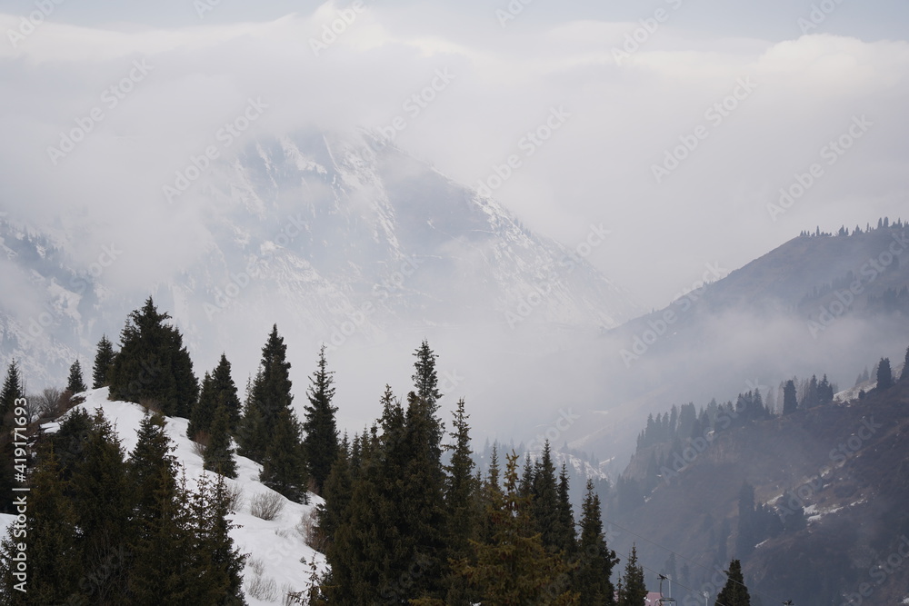 Obraz premium Snow-covered hills with fir trees and fog in a mountainous area near the city.