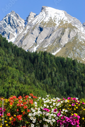 Flowers in front of mountain scenery © Mikael