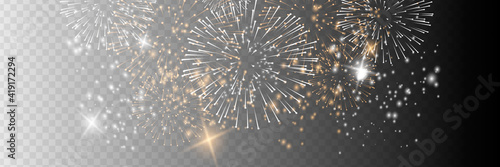 Vector Brightly Colorful Fireworks on the background of the night sky.