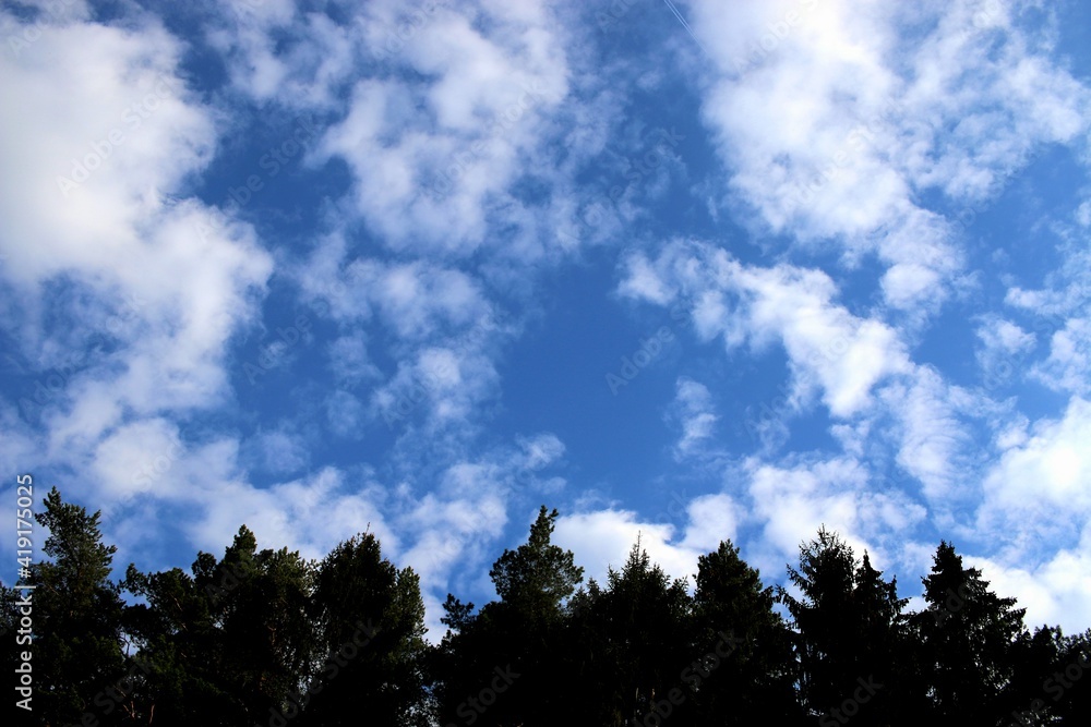 White clouds in the blue sky above the trees White clouds in the blue sky above the trees