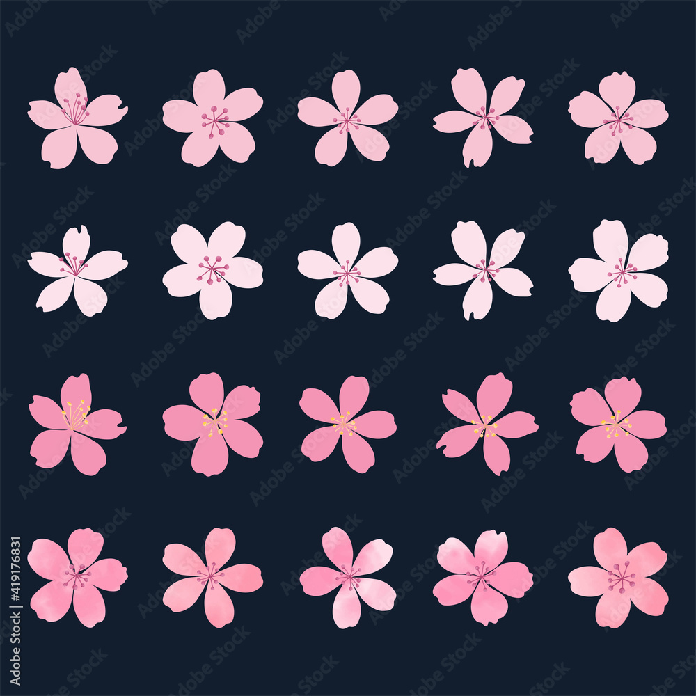 Fototapeta premium Cherry blossoms illustration materials set