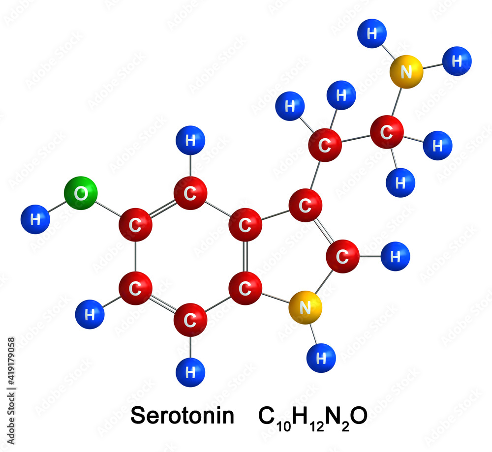 Serotonin Serotonin