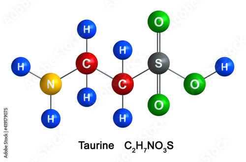Fotografia taurine