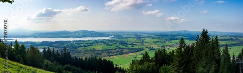 Alpenblick vom Buchenberg, Forggensee, Bannwaldsee, Allgäu, Bayern, Deutschland 