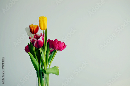 Сolorful bouquet of tulips with green stems on white background, copy space