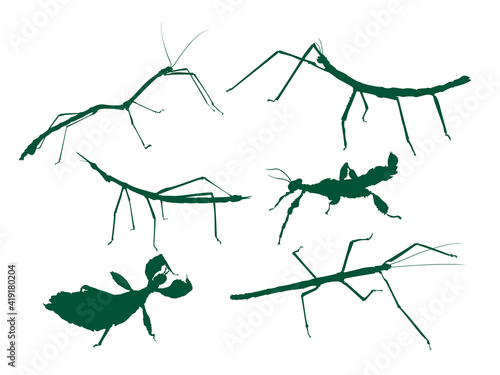 stick insect vector pack