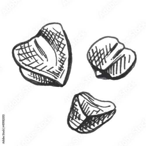 Grains buckwheat. Vector monochrome vintage hand drawn hatching illustration