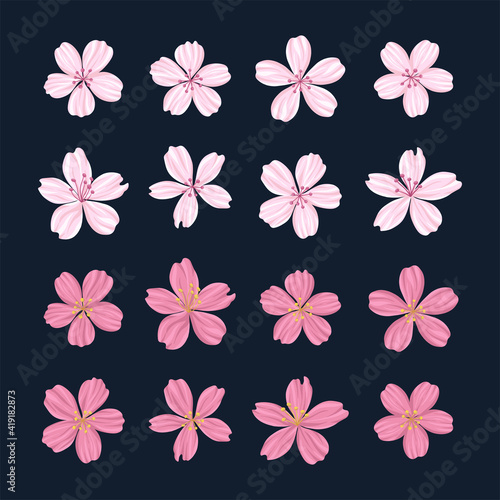 Fototapeta Naklejka Na Ścianę i Meble -  Cherry blossoms illustration materials set