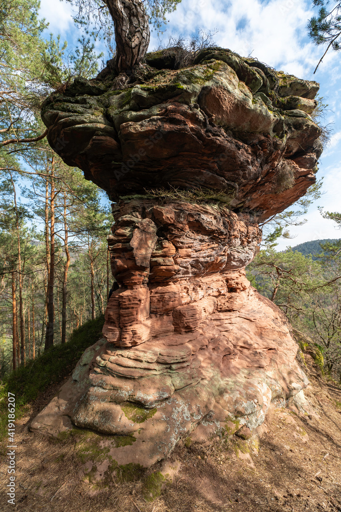 Großer Ferkelstein im Pfälzerwald