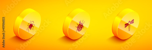 Set Isometric Spider, Mite and Dragonfly icon. Vector.