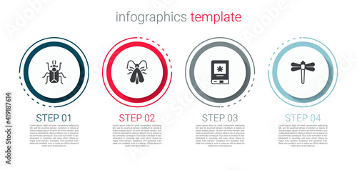Set Beetle bug, Clothes moth, Book about insect and Dragonfly. Business infographic template. Vector.