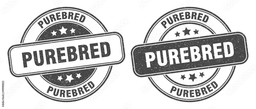 purebred stamp. purebred label. round grunge sign