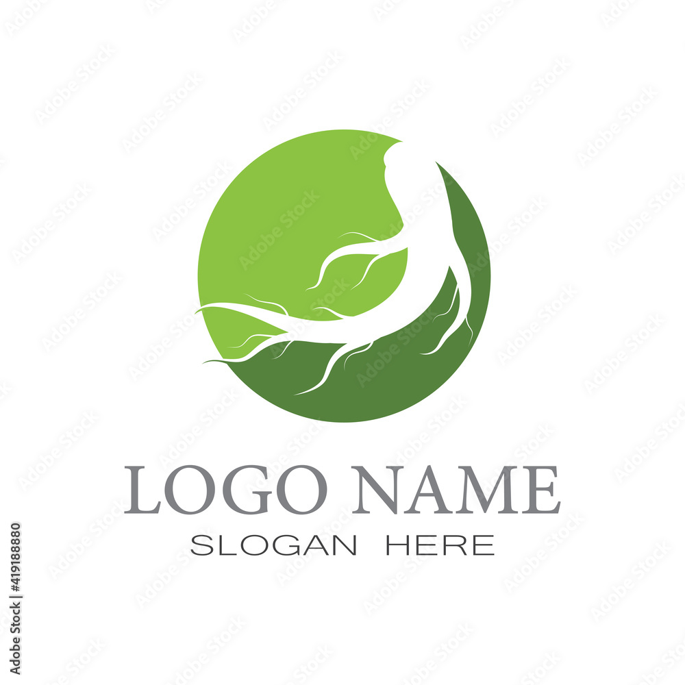 Ginseng icon Vector Illustration design Logo template Ginseng icon Vector Illustration design Logo template