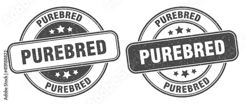 purebred stamp. purebred label. round grunge sign