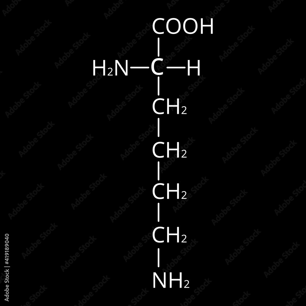 Amino acid Lysine. Chemical molecular formula Lysine is an amino acid