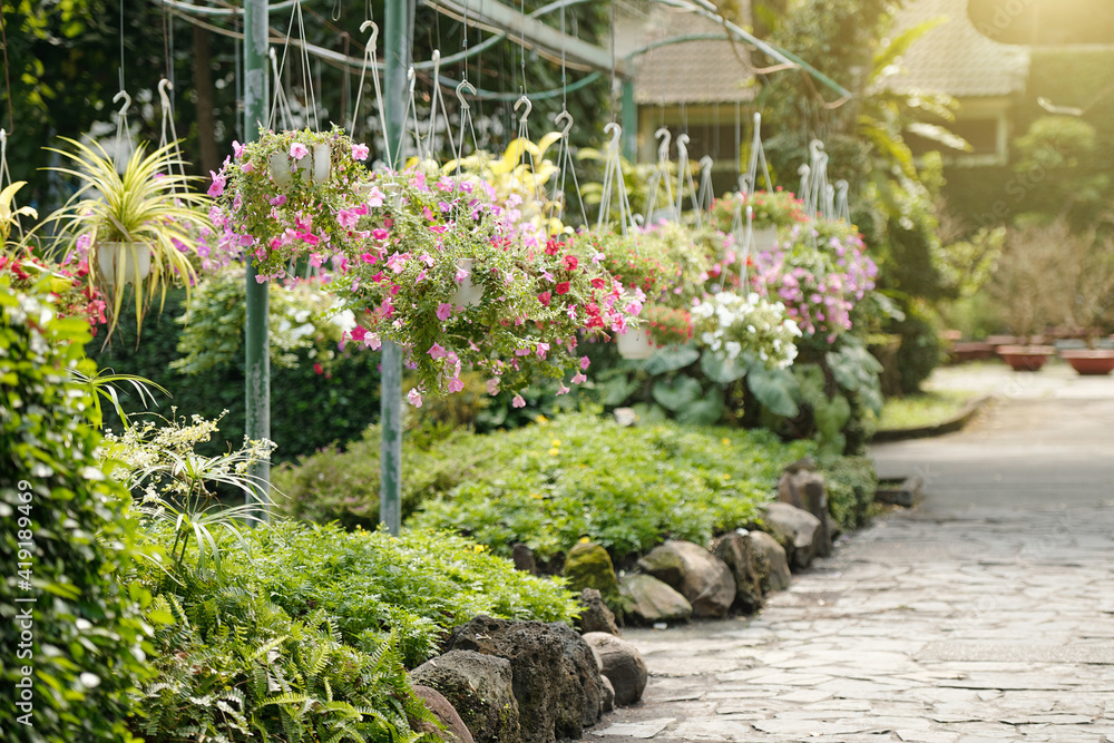 Nursery garden with many blooming flowers in hanging pots