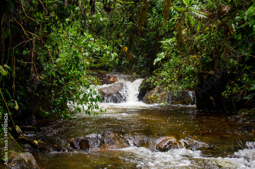 waterfall in the forest