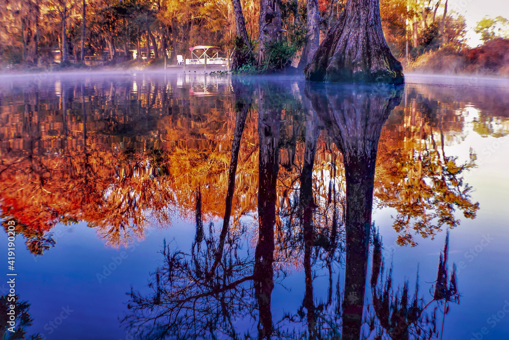 Fototapeta premium autumn forest reflection