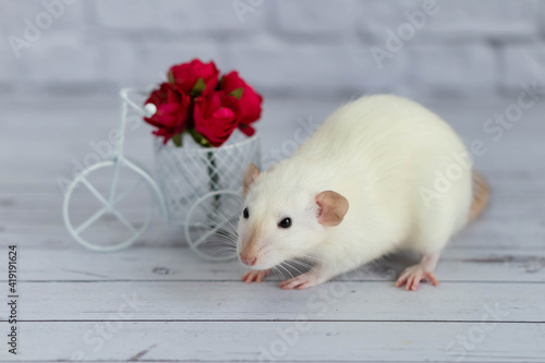 A cute white little rat sits next to a bouquet of red flowers. Flowers are arranged in a white bike toy basket.