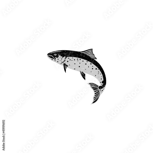 Ink Sketch of Salmon, Hand Drawn Vector Illustration of Fish Isolated on White Background