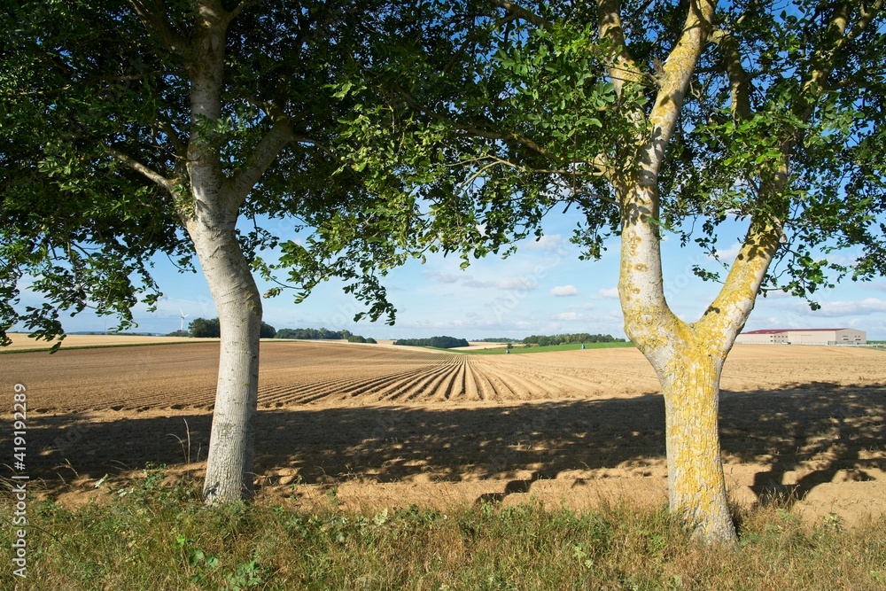 Fototapeta premium Seraucourt-le-Grand France - 28 July 2020 - Picardie countryside in Aisne Department in France