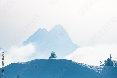 lonely tree on top of a snowy hill with Schreckhorn in the background © schame87