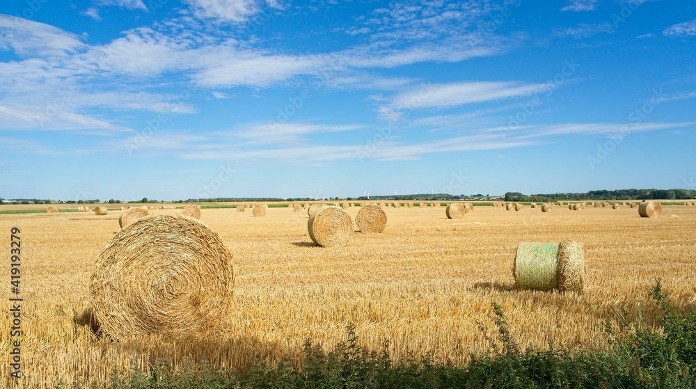 Fototapeta premium Clastres France - 27 August 2020 - Aisne countryside near St Quentin in Hauts de France