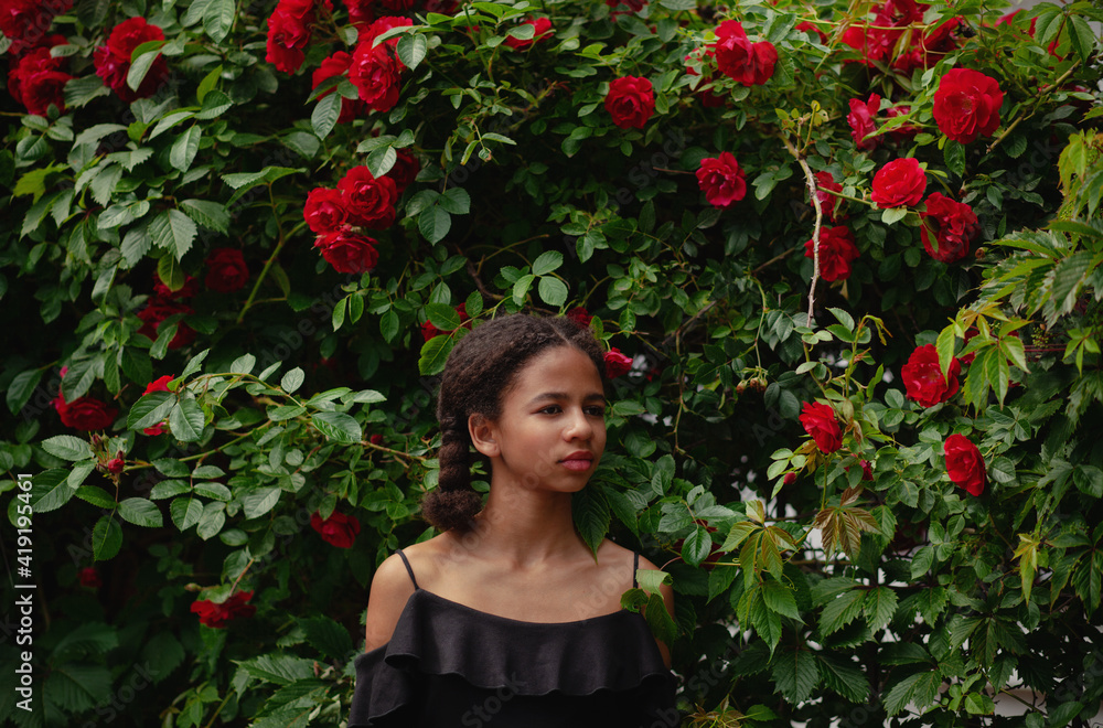 Rose Rose